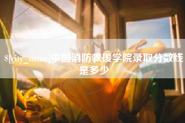 果洛中国消防救援学院录取分数线是多少