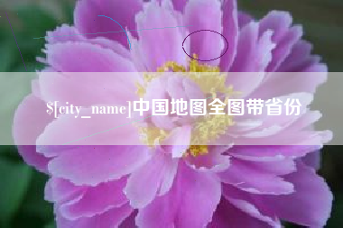 果洛中国地图全图带省份