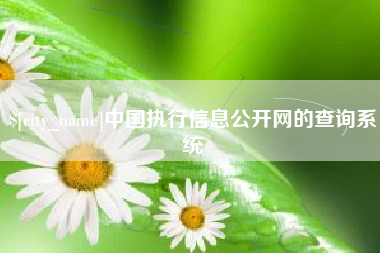果洛中国执行信息公开网的查询系统