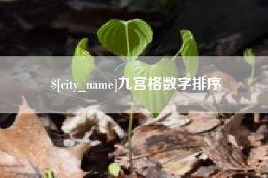 果洛九宫格数字排序