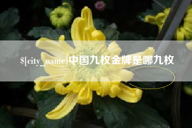 果洛中国九枚金牌是哪九枚