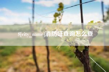 果洛消防证查询怎么查