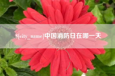 果洛中国消防日在哪一天