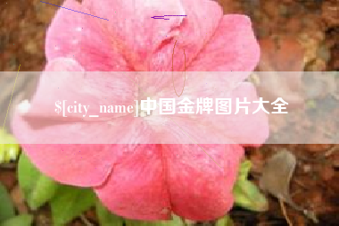 果洛中国金牌图片大全