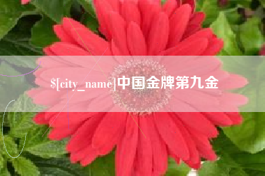 果洛中国金牌第九金