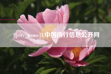 果洛1.中国执行信息公开网
