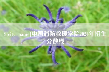 果洛中国消防救援学院2024年招生分数线