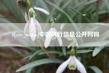 果洛中国执行信息公开网询