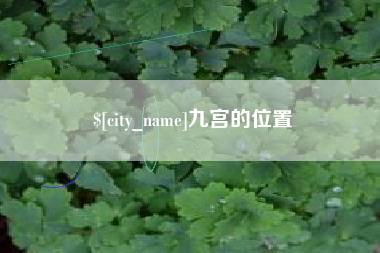 果洛九宫的位置