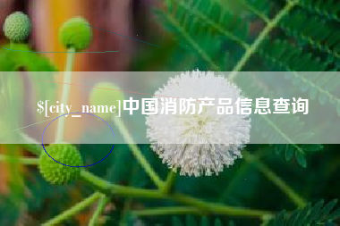 果洛中国消防产品信息查询