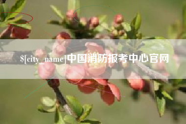 果洛中国消防报考中心官网