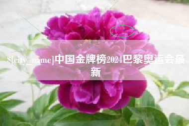 果洛中国金牌榜2024巴黎奥运会最新