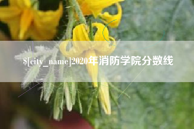 果洛2020年消防学院分数线