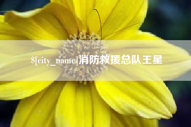 果洛消防救援总队王星