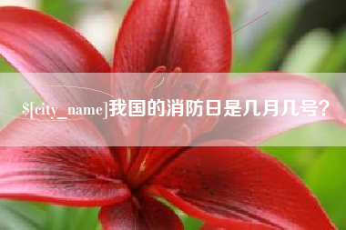 果洛我国的消防日是几月几号？