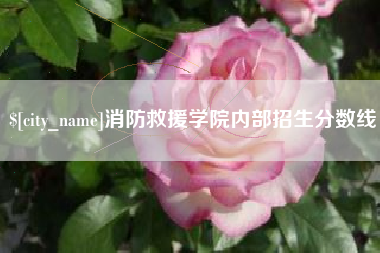 果洛消防救援学院内部招生分数线