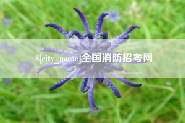 果洛全国消防招考网