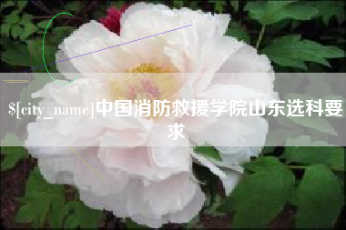 果洛中国消防救援学院山东选科要求