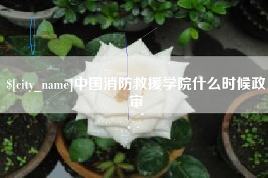 果洛中国消防救援学院什么时候政审