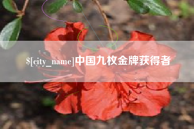 果洛中国九枚金牌获得者