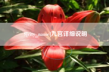 果洛九宫详细说明
