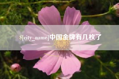果洛中国金牌有几枚了