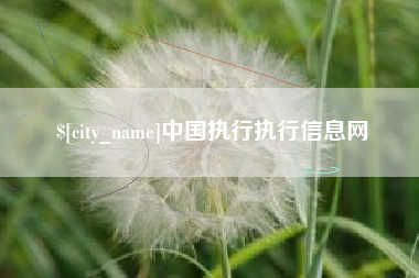 果洛中国执行执行信息网