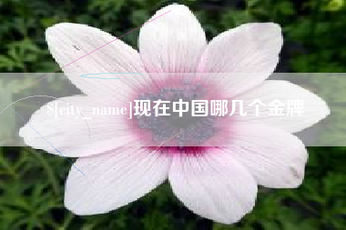 果洛现在中国哪几个金牌