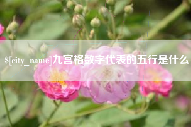 果洛九宫格数字代表的五行是什么