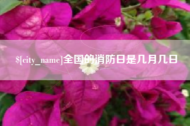 果洛全国的消防日是几月几日