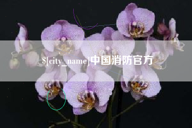 果洛中国消防官方