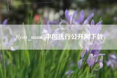 果洛中国执行公开网下载