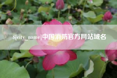 果洛中国消防官方网站域名