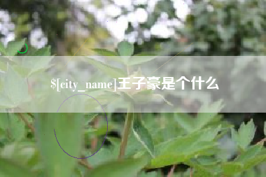 果洛王子豪是个什么