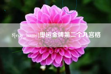 果洛奥运金牌第二个九宫格