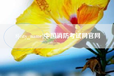果洛中国消防考试网官网