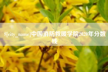 果洛中国消防救援学院2020年分数线