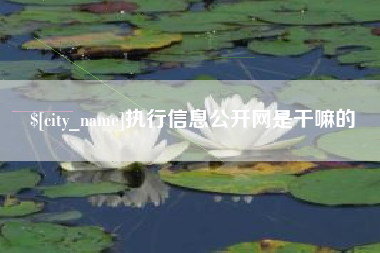 果洛执行信息公开网是干嘛的