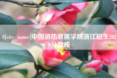 果洛中国消防救援学院浙江招生2020分数线