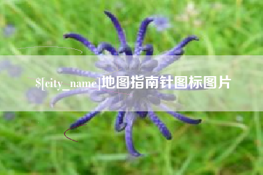 果洛地图指南针图标图片