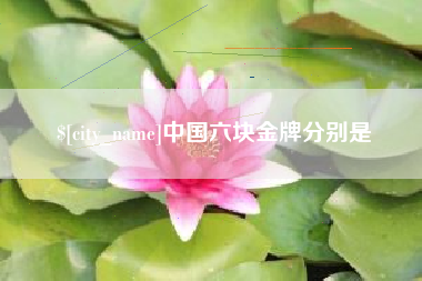 果洛中国六块金牌分别是