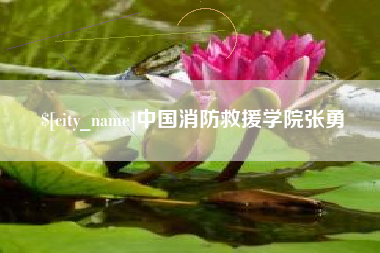 果洛中国消防救援学院张勇