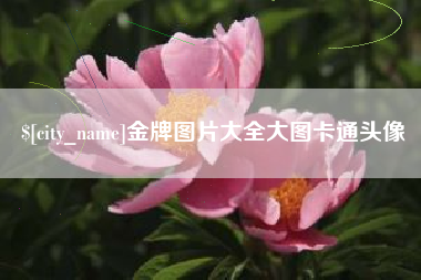 果洛金牌图片大全大图卡通头像
