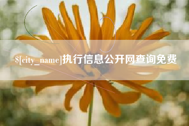果洛执行信息公开网查询免费